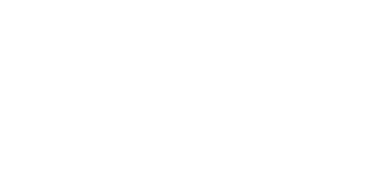 Coininit logo (dark)